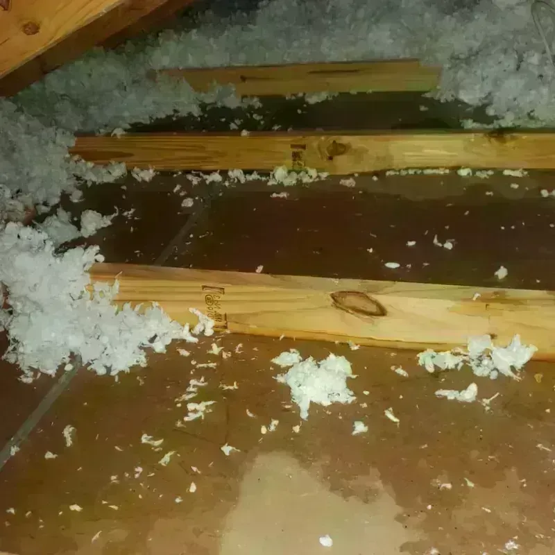 Attic Water Damage in Madera, CA