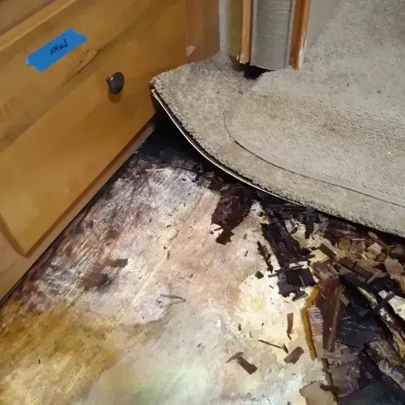 Wood Floor Water Damage in Madera, CA